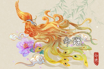 择吉老黄历皇历 老皇历查询 择吉老皇历